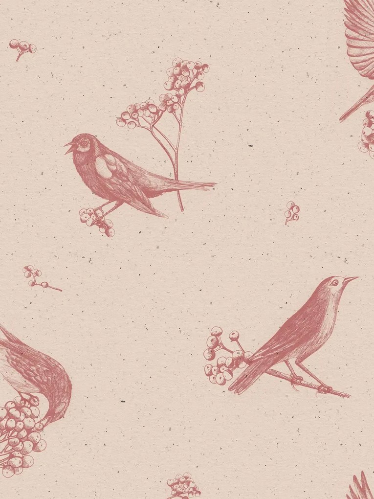 Coordonne Carta da parati Sweet Birds - Rose