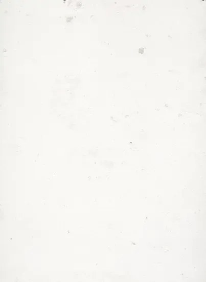 Terrastone Rustique floor - 15kg - KB7 - Edelweiß - 15 kg