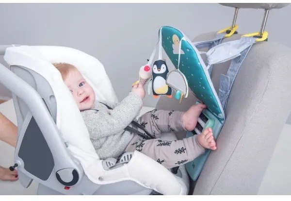 Taf Toys - Giocattolo auto divertente con piedi al polo nord