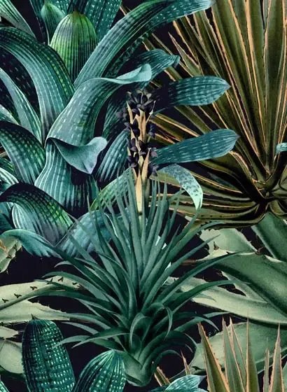 Mindthegap Carta da parati Lush Succulents - WP20164