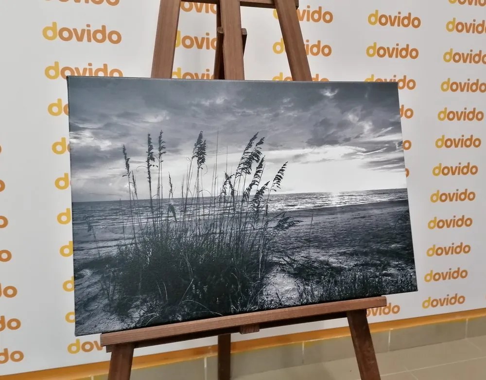 Stampa su tela – Tramonto sulla spiaggia in bianco e nero