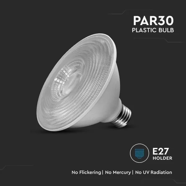 Lampadina LED SAMSUNG CHIP PAR30 E27/11W/230V 6500K