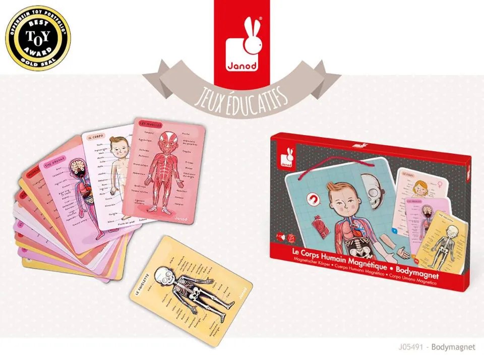 Bodymagnet - Lavagna magnetica - corpo umano