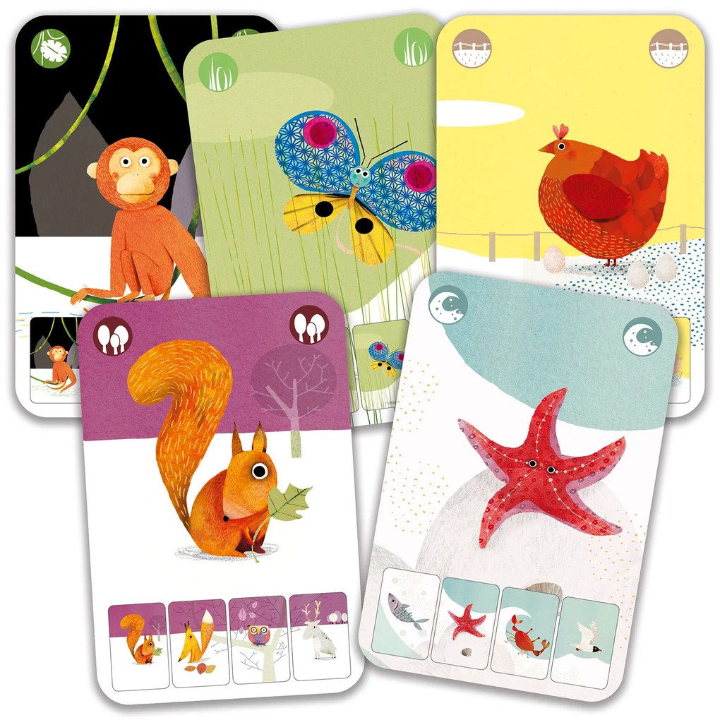 Mini Nature - gioco del quartetto