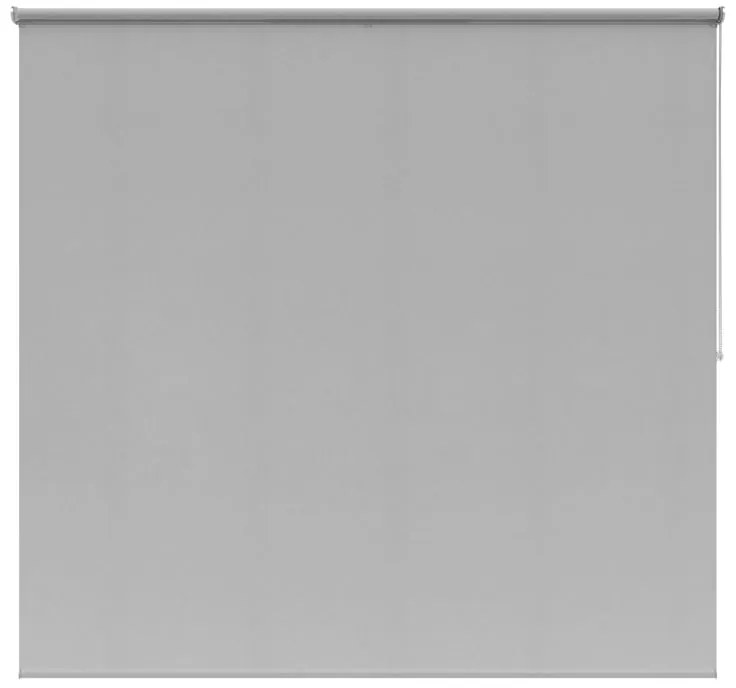 Tenda a rullo filtrante INSPIRE Canberra grigio chiaro 220x250 cm