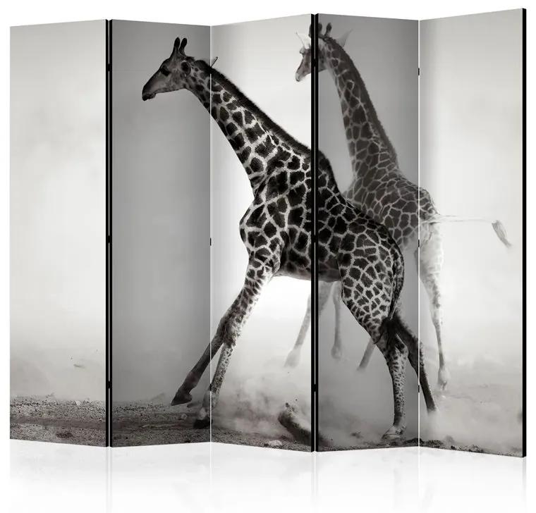 Paravento Giraffes II [Room Dividers]