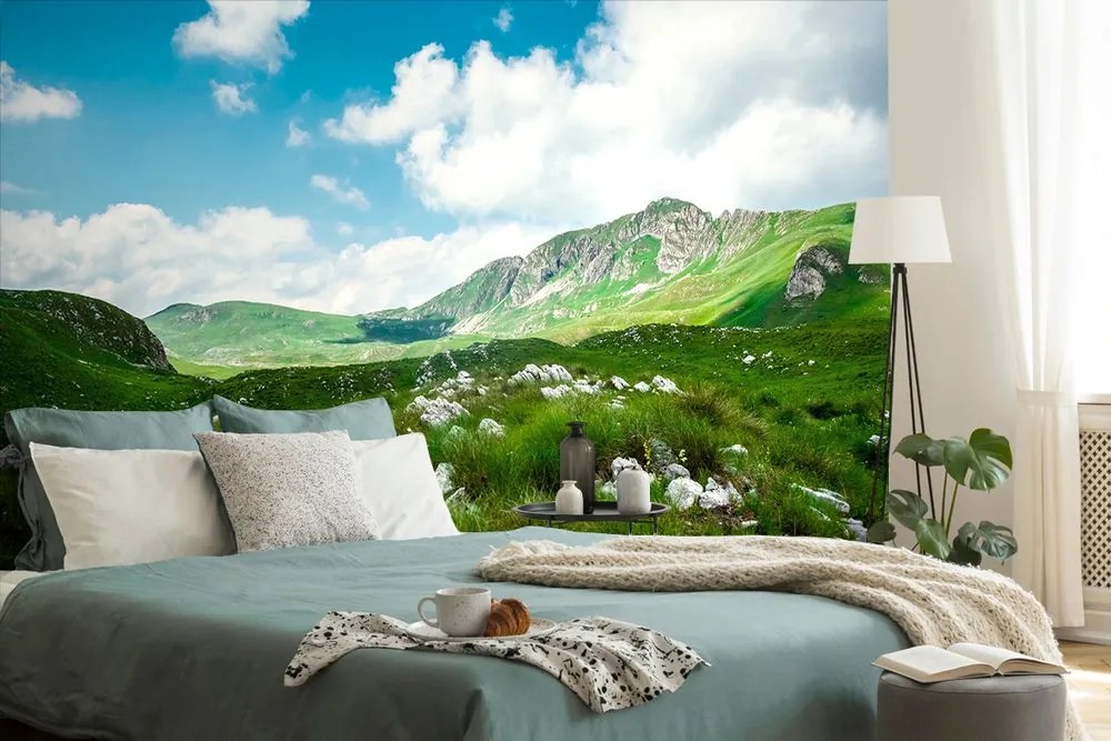 Carta da parati – Valle in Montenegro