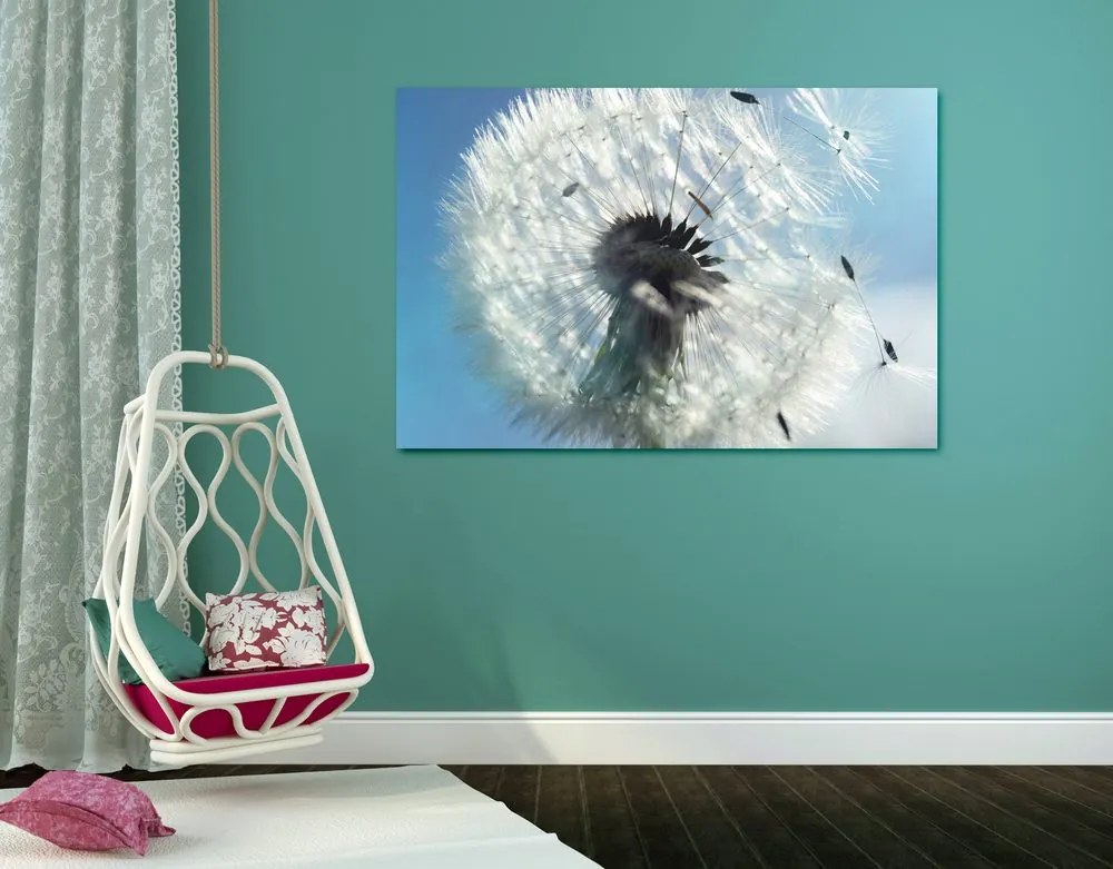 Quadro su tela – Dettaglio del soffione