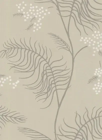 Mimosa - Designtapete von Cole and Son - Beige/ Weiß/ Grau