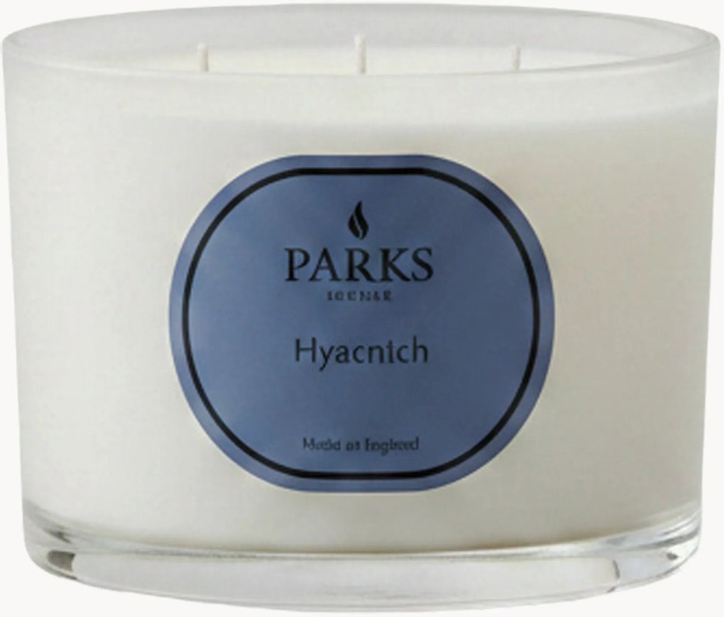 Candela profumata fatta a mano a tre stoppini Vintage Aromatherapy (giacinto, fiori verdi e muschio bianco)