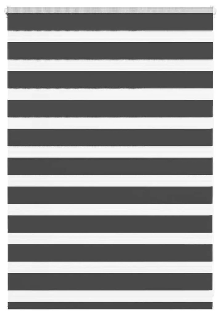 Tenda A Rullo Zebra Nero Larghezza Tessuto 90,9 Cm Poliestere /