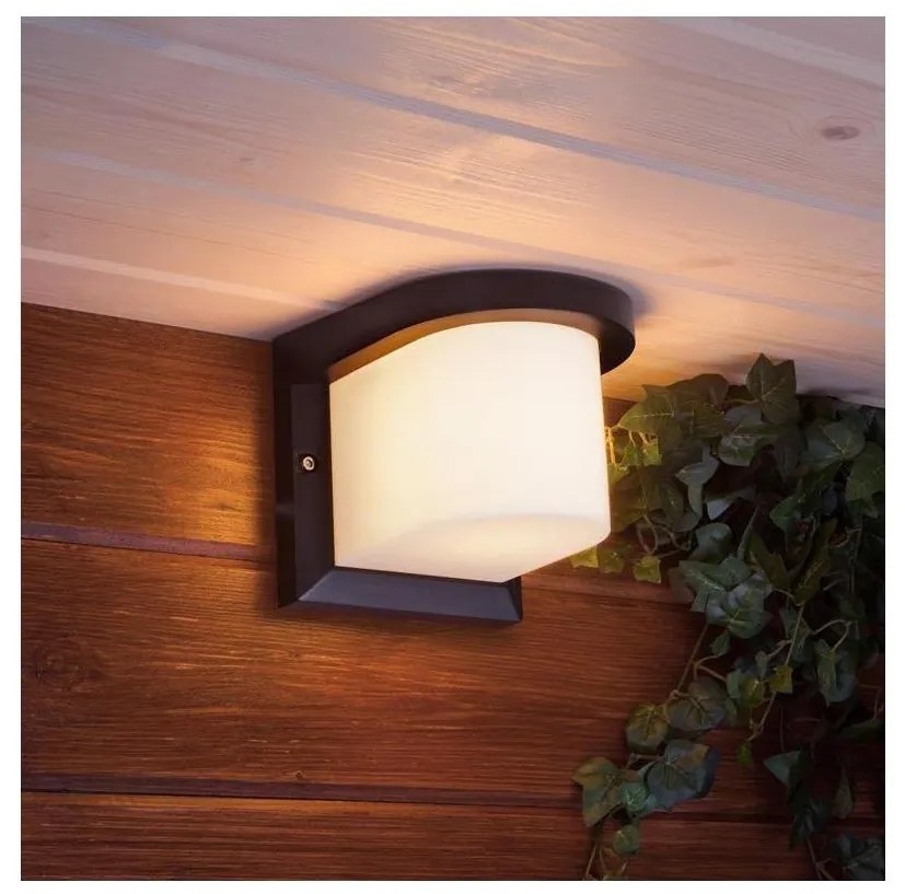 Applique da esterno PETUNIA 1xE27/60W/230V IP44 antracite