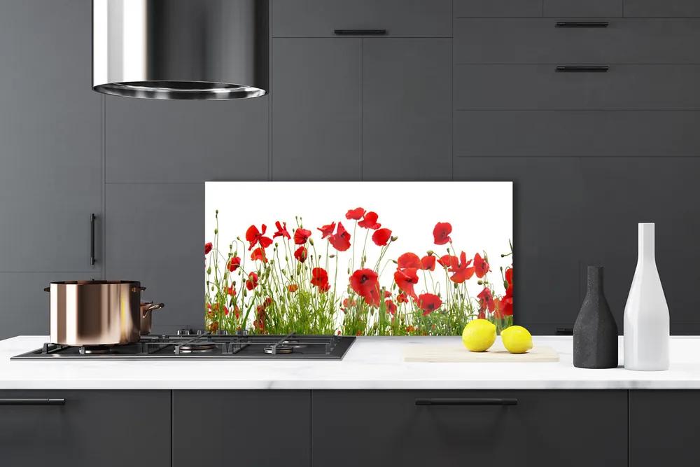 Rivestimento parete cucina Papaveri, fiori, natura 100x50 cm