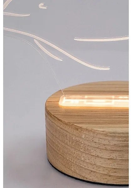 Rabalux 76002 - Lampada da tavolo LED per bambini AKALI LED/2W/5V 3000K dolphin faggio