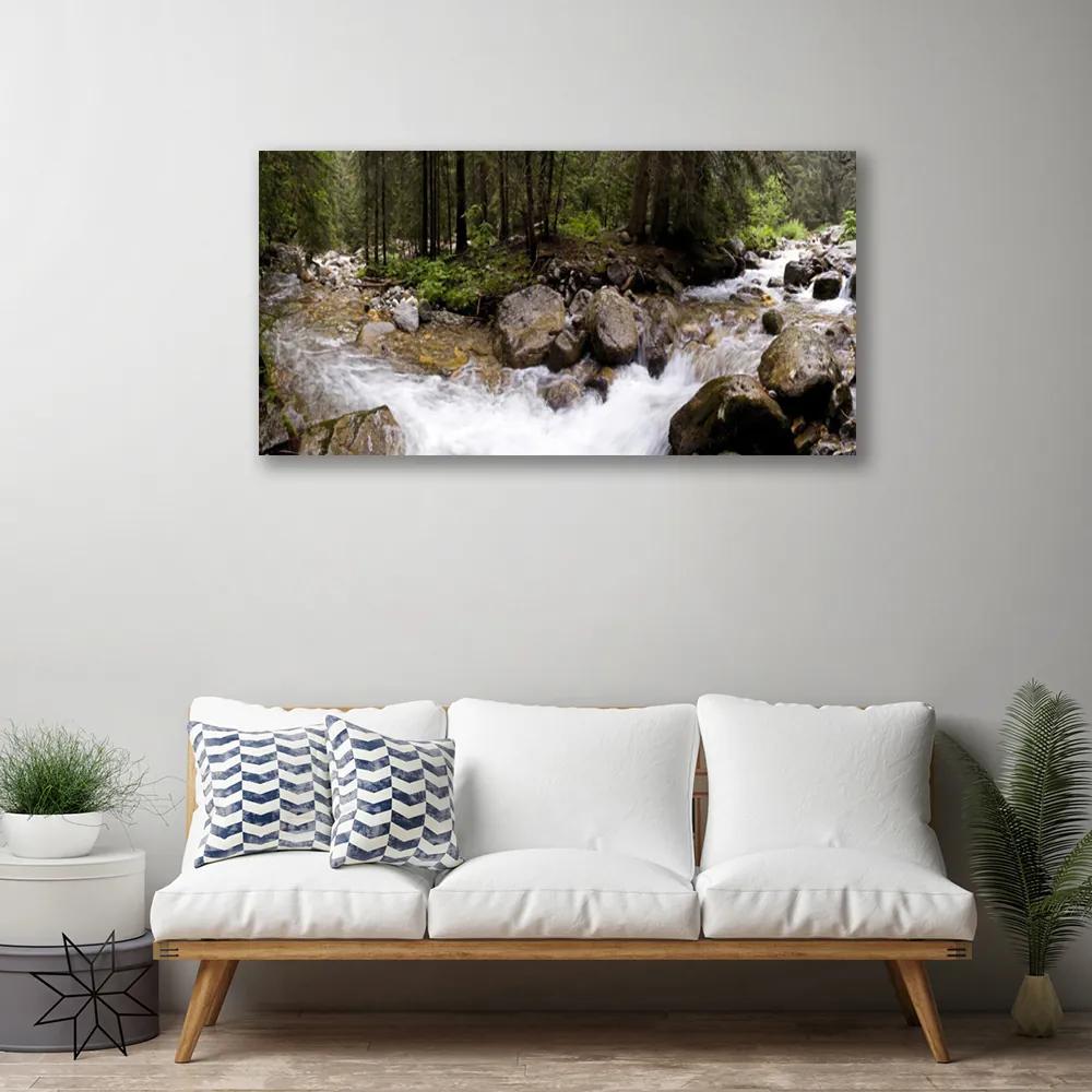 Stampa quadro su tela Foresta, fiume, cascate 100x50 cm