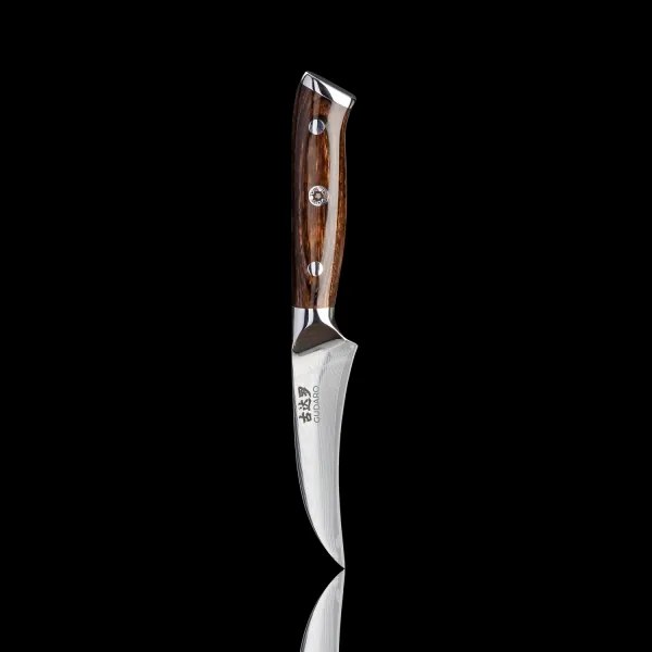 Gudaro - Coltello da cucina per frutta in acciaio damascato FENG 3,5", 67 strati d'acciaio, lunghezza 9,5 cm