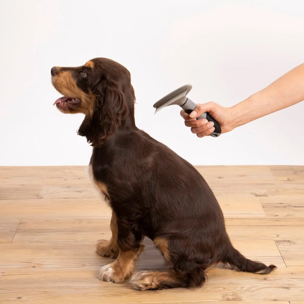 Spazzola per animali domestici – Love Story