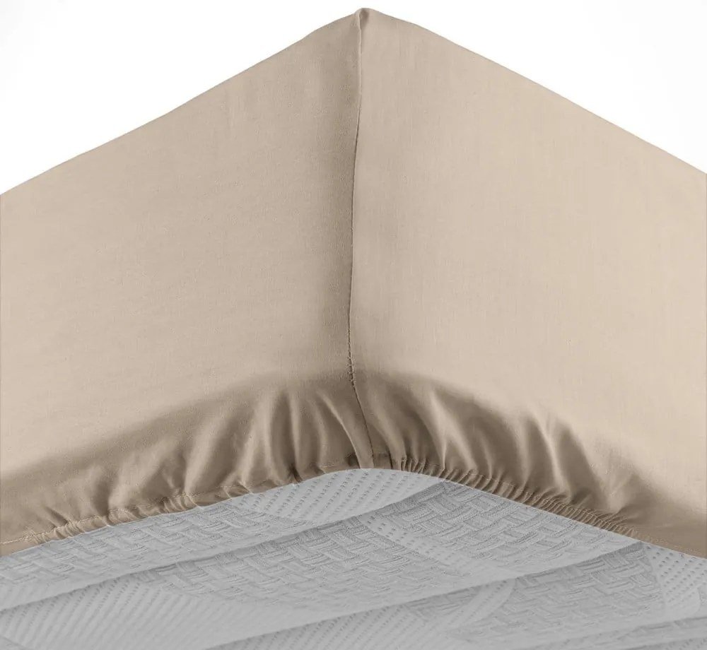 Lenzuolo in cotone elasticizzato marrone chiaro 160x200 cm Lina - douceur d'intérieur