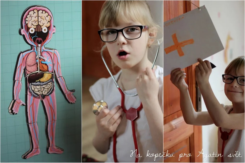 Bodymagnet - Lavagna magnetica - corpo umano