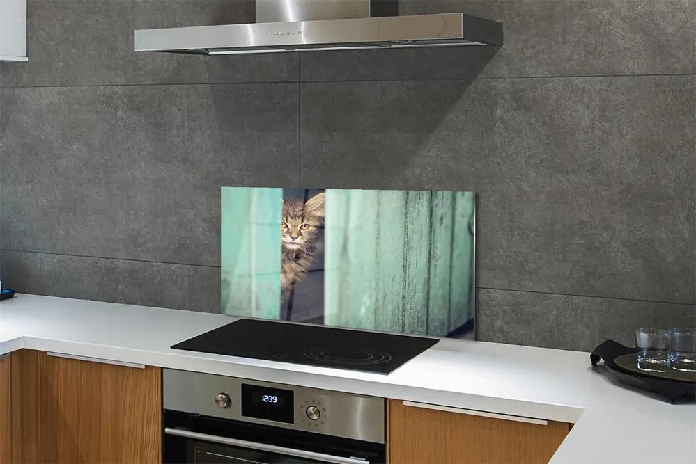 Pannello paraschizzi cucina Il gatto che fa capolino 100x50 cm