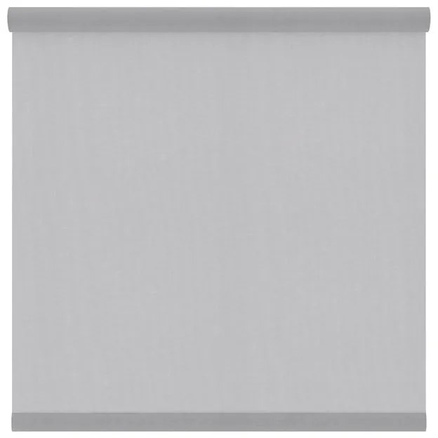 Tessuto per tende a rullo filtrante INSPIRE Canberra grigio / argento 177 x 250 cm