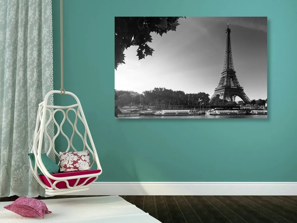 Quadro su tela – Parigi in autunno in bianco e nero