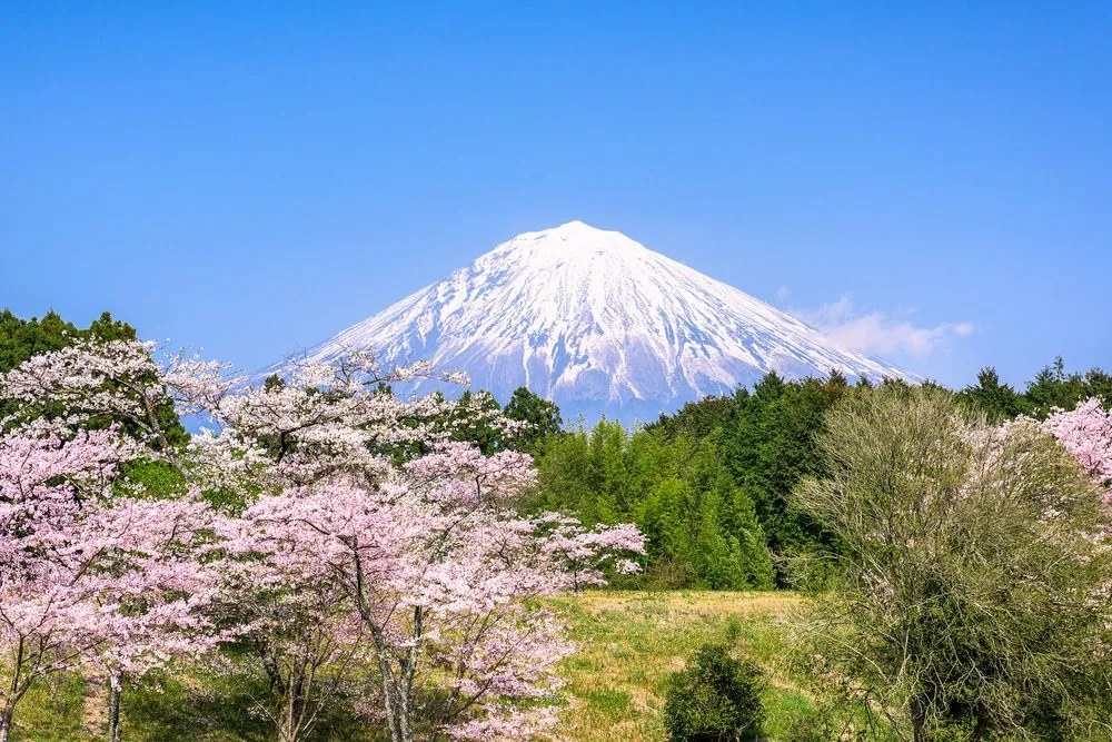 Stampa su tela – Vulcano Fuji