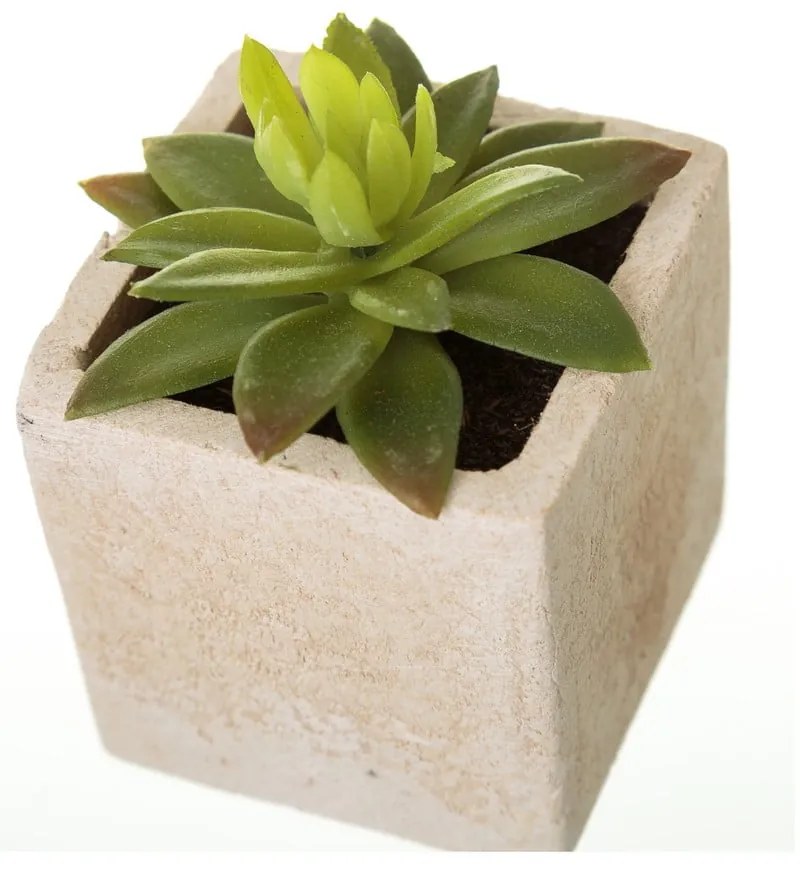 Piante artificiali in set da 6 (altezza 9,5 cm) Cactus - Casa Selección