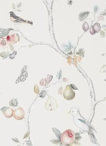 Tapete Fruit Aviary von Sanderson - Cream/ Multi