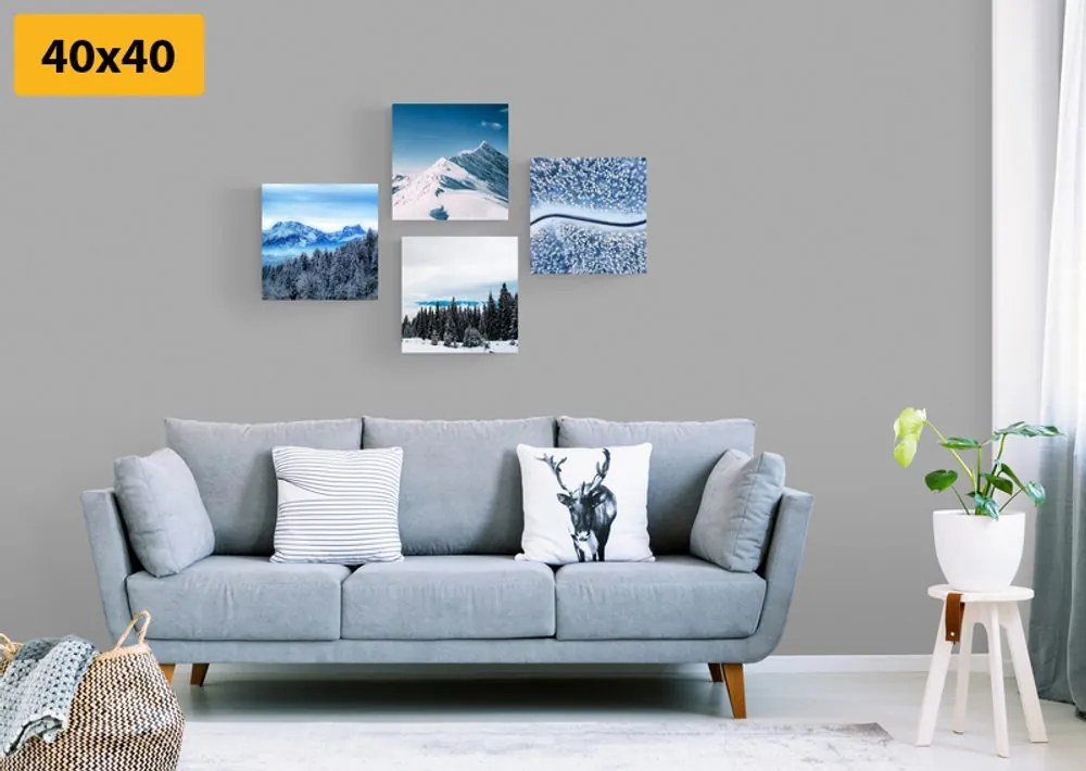 Set di quadri – Bellezze della natura innevata