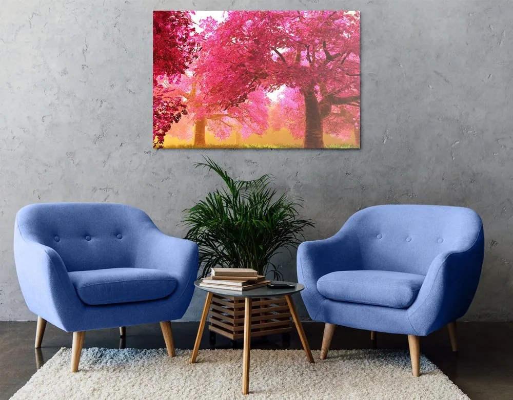 Quadro su tela – Magici alberi di ciliegio in fiore