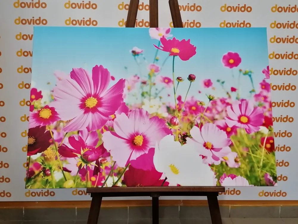 Quadro su tela – Prato di fiori primaverili