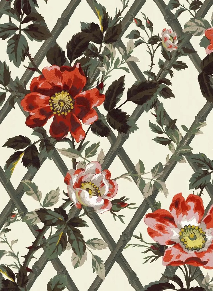 House of Hackney Carta da parati Bryher Rose - Cinnabar