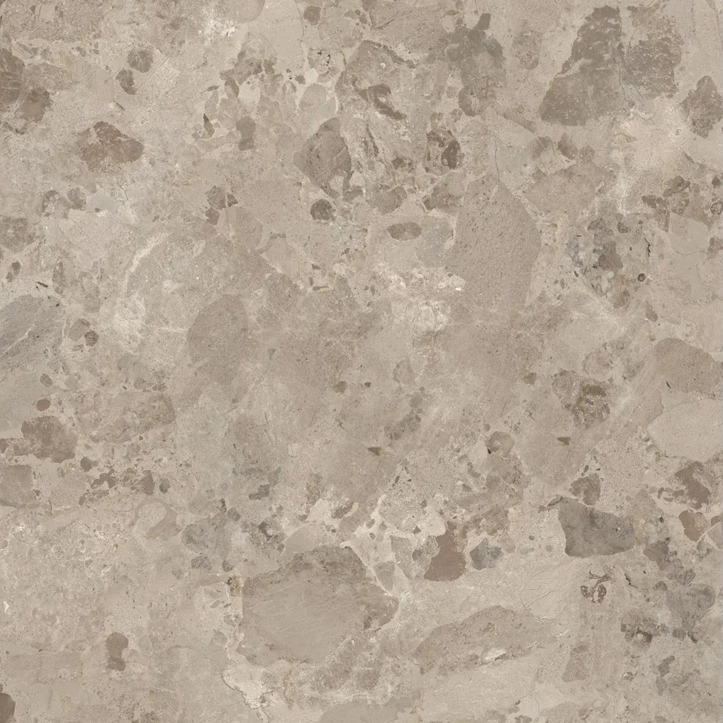 Gres Porcellanato Effetto Pietra Moderno Ceppo di Gré Beige 60x60 - EI6036
