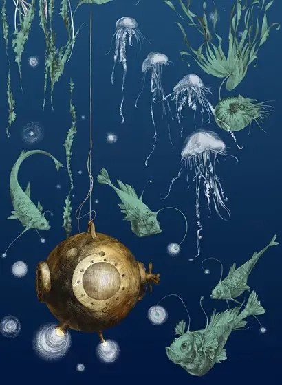 Edmond Petit Meeres-Tapete Nautilus gauche - Marine