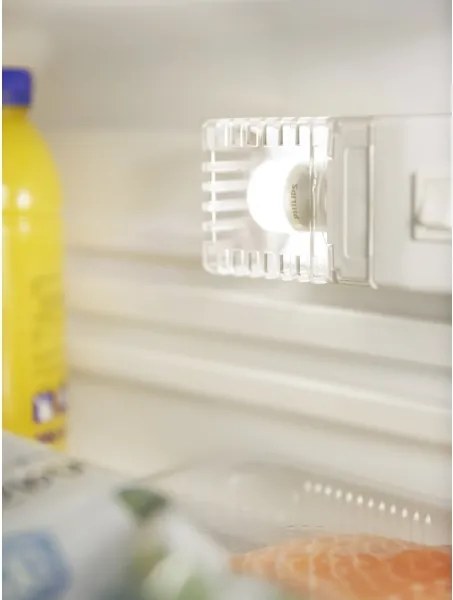 Lampadina LED per frigorifero Philips E14/3,2W/230V 2700K