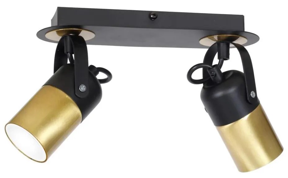 Luce Spot WILSON 2xGU10/25W/230V