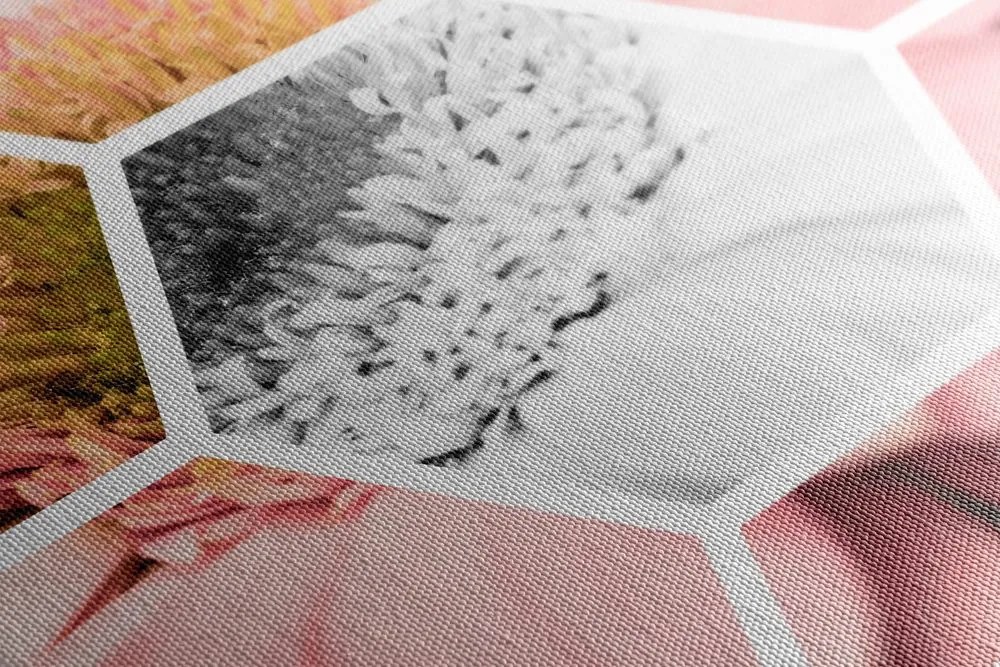 Quadro su tela – Gerbera in esagono