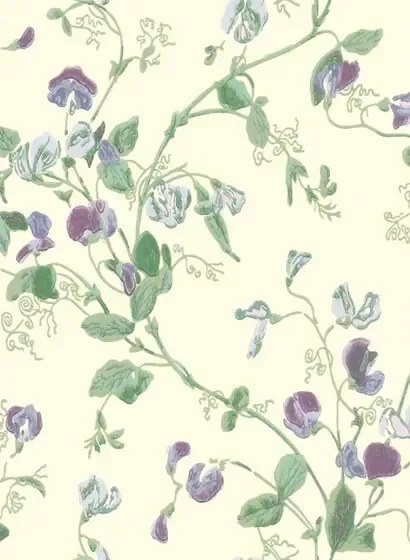 Tapete Sweet Pea von Cole & Son - Violet