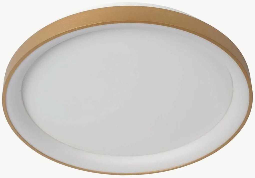 Plafoniera a LED con luce regolabile Vidal