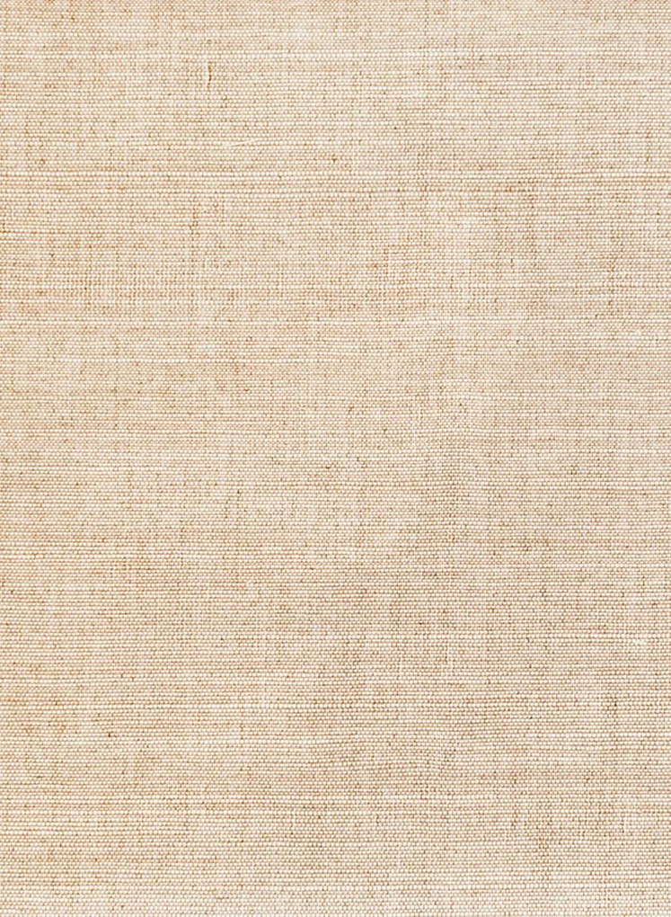 Arte International Tapete Line - Beige
