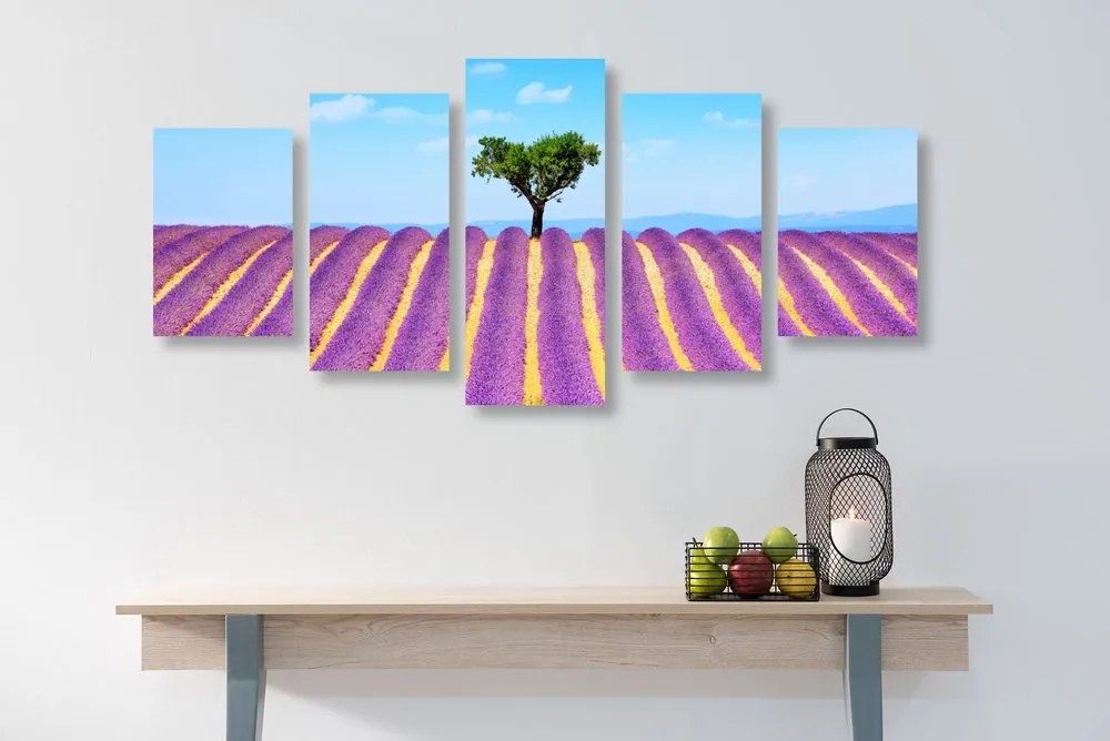 Quadri 5 pezzi – Campo di lavanda provenzale