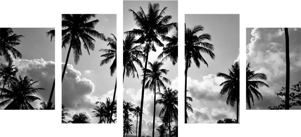 Quadri 5 pezzi – Palme da cocco sulla spiaggia in bianco e nero