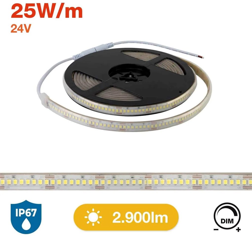 Striscia LED Professional 2835/224 - IP67 - 25W/m - 2.900lm/m- 5m - 24V Colore Bianco Freddo 6.000K