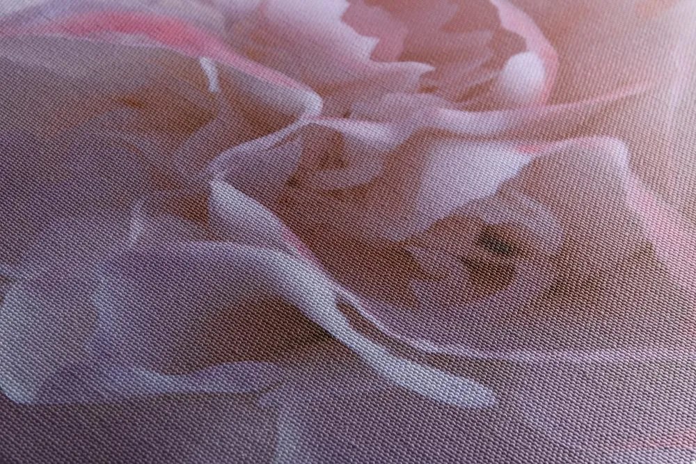 Quadro su tela – Petali di garofano