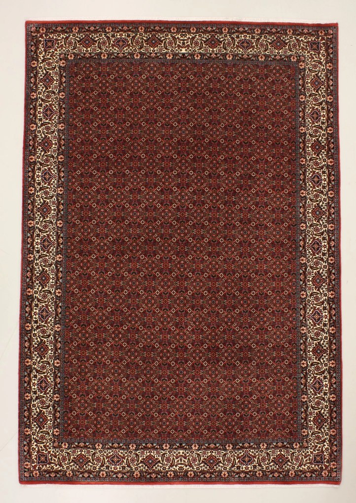 Bidjar Tappeto 210 x 300 (Iran) Annodato A Mano