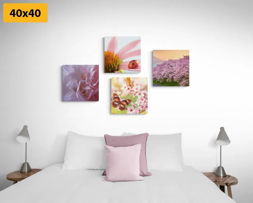 Set di quadri – Fioritura della natura