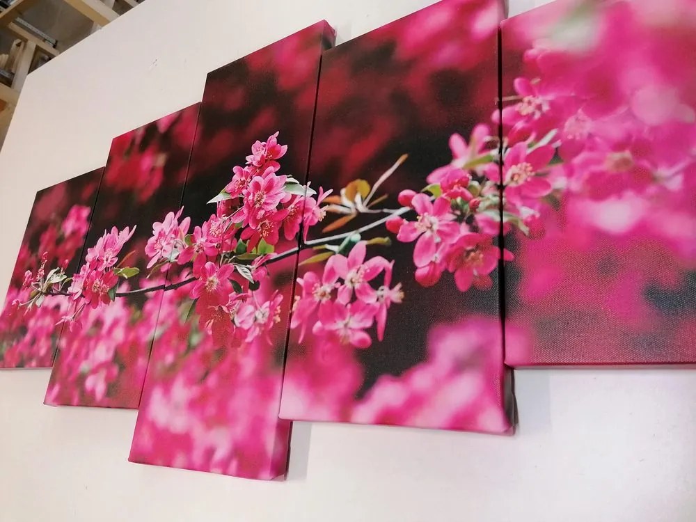 Quadri 5 pezzi – Fiore di ciliegio dettagliato