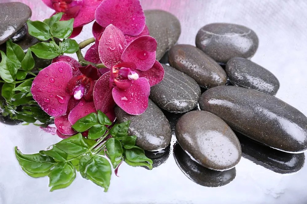Carta da parati – Orchidea fiorita e pietre benessere