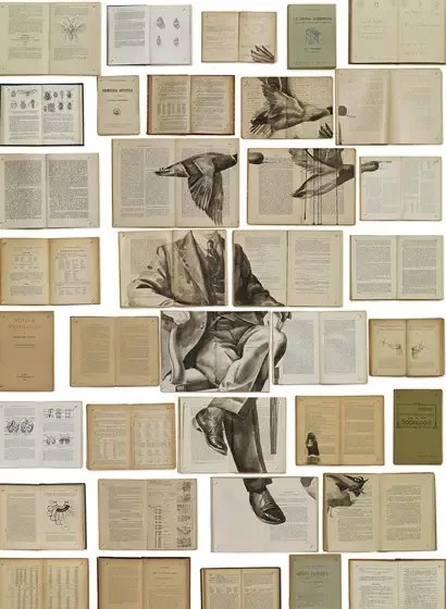 Tapete EKA-01 Bibliotheca von Ekaterina Panikanova